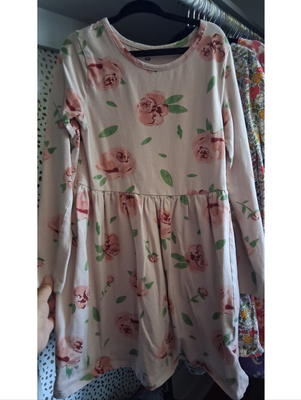 H&M Rose Print Dress